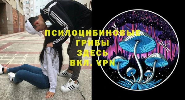 индика Абдулино