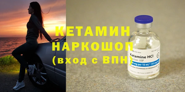 гидра Алексин