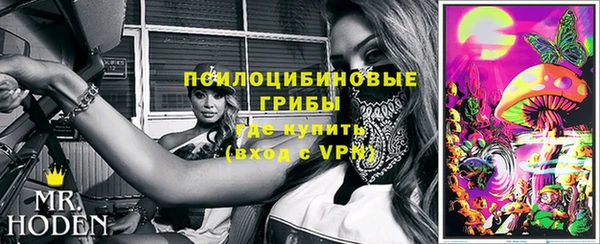 дурь Россошь