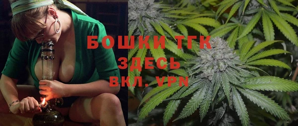 индика Абдулино