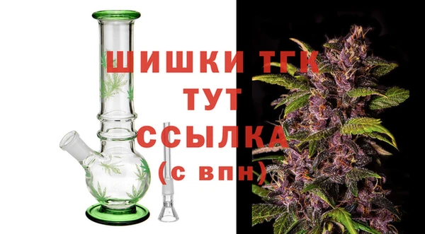 индика Абдулино