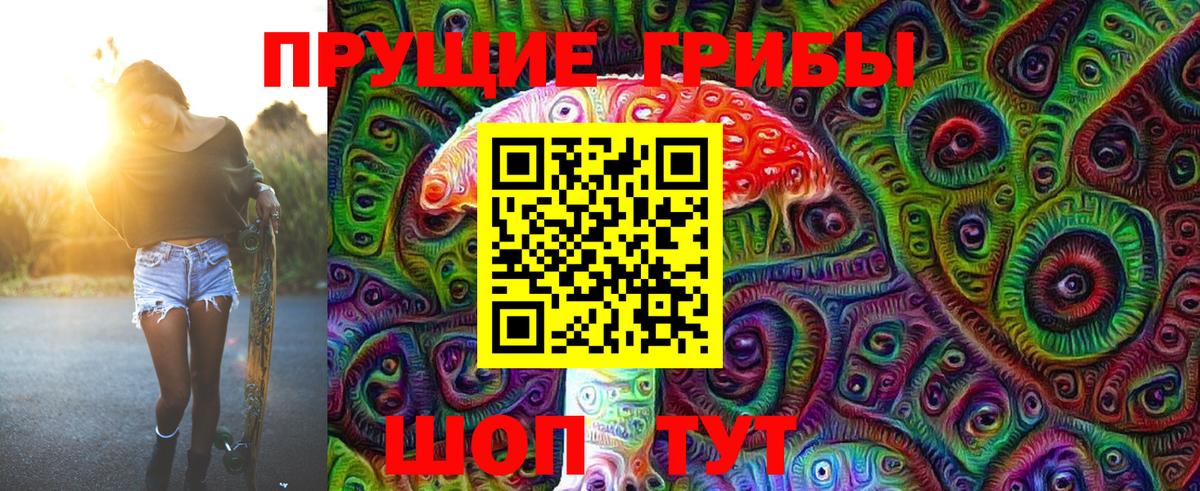 Благодарный  Псилоцибиновые грибы MAGIC MUSHROOMS  закладки  Псилоцибиновые грибы прущие грибы  Вход с VPN 